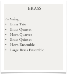 BRASS

Including...
    Brass Trio
    Brass Quartet
    Horn Quartet
    Brass Quintet
    Horn Ensemble
    Large Brass Ensemble